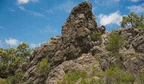 Verandah Cave - Accommodation NSW 2