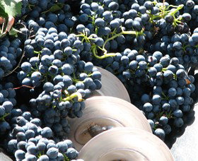 Orange Mountain Wines - Accommodation NSW 2