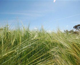 150 Degrees East Meridian - Accommodation NSW 0