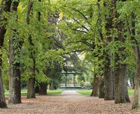 Cook Park - Accommodation NSW 0