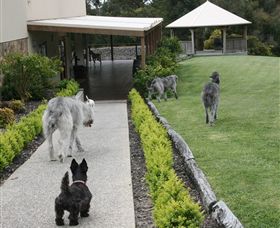 Otway Estate - Accommodation NSW 5