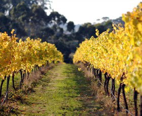 Otway Estate - Accommodation NSW 6