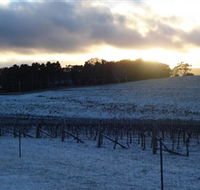 Charles Sturt University Winery - Accommodation NSW