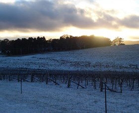 Charles Sturt University Winery - Accommodation NSW 0