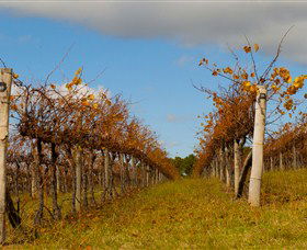 Charles Sturt University Winery - Accommodation NSW 2