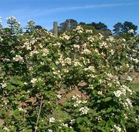 Huntley Berry Farm - Accommodation NSW