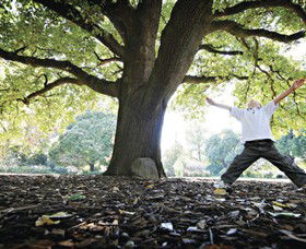 Albury Botanic Gardens - Accommodation NSW 1