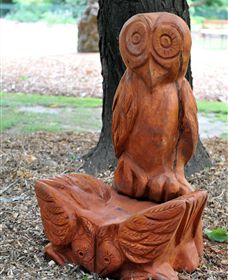 Albury Botanic Gardens - Accommodation NSW 7