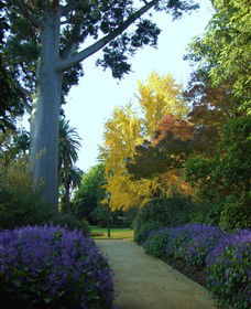 Albury Botanic Gardens - Accommodation NSW 4
