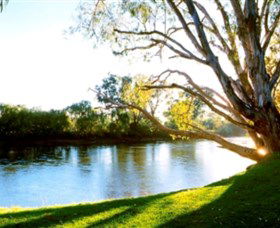 Albury - Murray River Precinct - Accommodation NSW 0