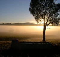 Patina Wines - Accommodation NSW