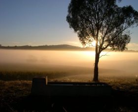 Patina Wines - Accommodation NSW 0