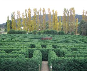Brookfield Maze - Accommodation NSW 0