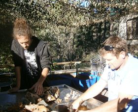 Three Creeks Tourist Gold Mine - Accommodation NSW 1