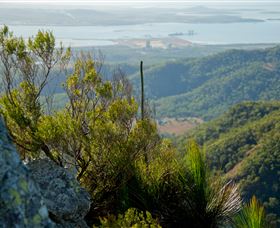 Mount Larcom Climb - Accommodation NSW 1