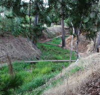Lions Club Bicentennial Walk - Accommodation NSW