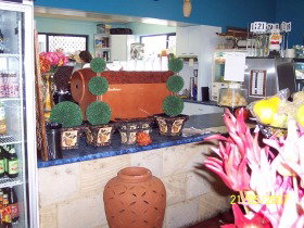 Warwicks Gardens Galore - Accommodation NSW 2