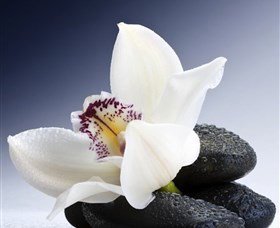 H2O Spa - Accommodation NSW 1
