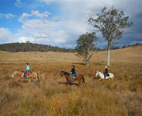 Chapman Valley Horse Riding - Accommodation NSW 0
