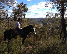 Chapman Valley Horse Riding - Accommodation NSW 2