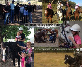 Chapman Valley Horse Riding - Accommodation NSW 5