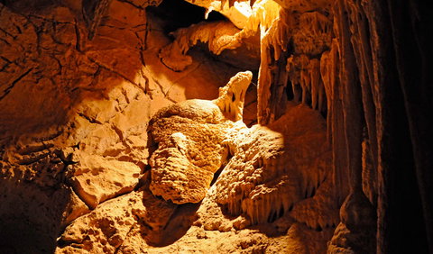 Fig Tree Cave - Accommodation NSW 0
