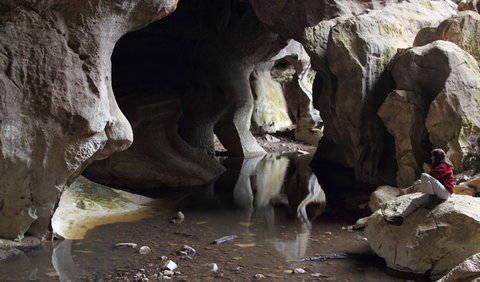 Fig Tree Cave - Accommodation NSW 2