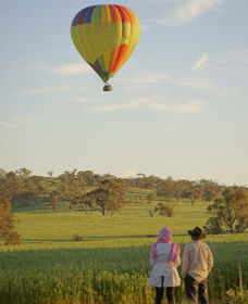 Avon Valley National Park - Accommodation NSW 1