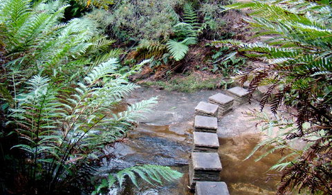 Nature Track - Accommodation NSW 3
