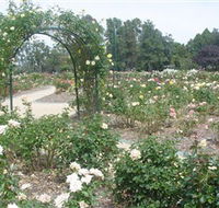 Victoria Park Rose Garden - Accommodation NSW