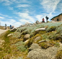 Mount Kosciuszko Summit walk - Accommodation NSW