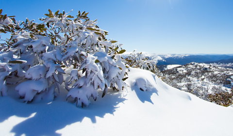 Perisher - Accommodation NSW 3