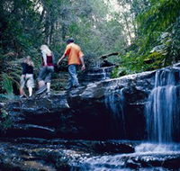 South Lawson Waterfall Circuit - Accommodation NSW