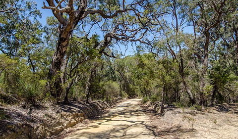 Howes Trail - Accommodation NSW 0