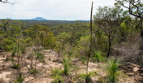 Howes Trail - Accommodation NSW 1