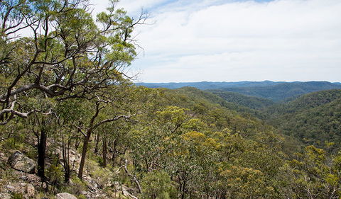 Howes Trail - Accommodation NSW 2