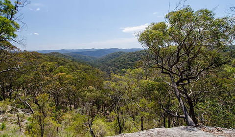 Howes Trail - Accommodation NSW 3