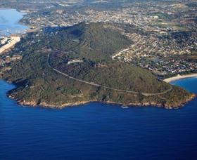 Avenue Of Honour - Accommodation NSW 0