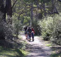 Syd's Rapids and Aboriginal Heritage Trail Avon Valley - Accommodation NSW