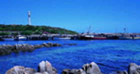 King Island Dairies - Accommodation NSW 0