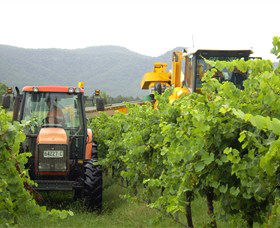 Stomp! Wines - Accommodation NSW 8