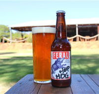 Feral Brewing Company - Accommodation NSW
