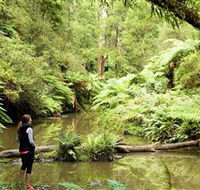 Morwell National Park - Accommodation NSW