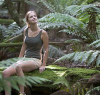 Barrington Tops National Park - Honeysuckle Forest Track - Accommodation NSW
