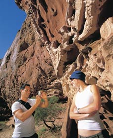 Kennedy Range National Park - Accommodation NSW 0