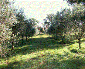 Langdale Farm - Accommodation NSW