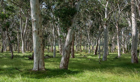 Coast To The Highlands Scenic Drive â€“ Kangaroo Valley - Accommodation NSW 1