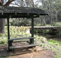 Barrington Tops State Forest - Accommodation NSW