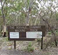 Box Vale Picnic Area - Accommodation NSW