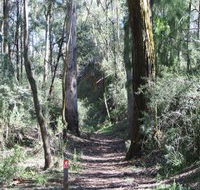 Box Vale Mine Walking Track and Lookout - Accommodation NSW